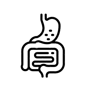 metabolismo